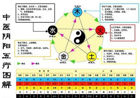 水生金 小孩火氣大